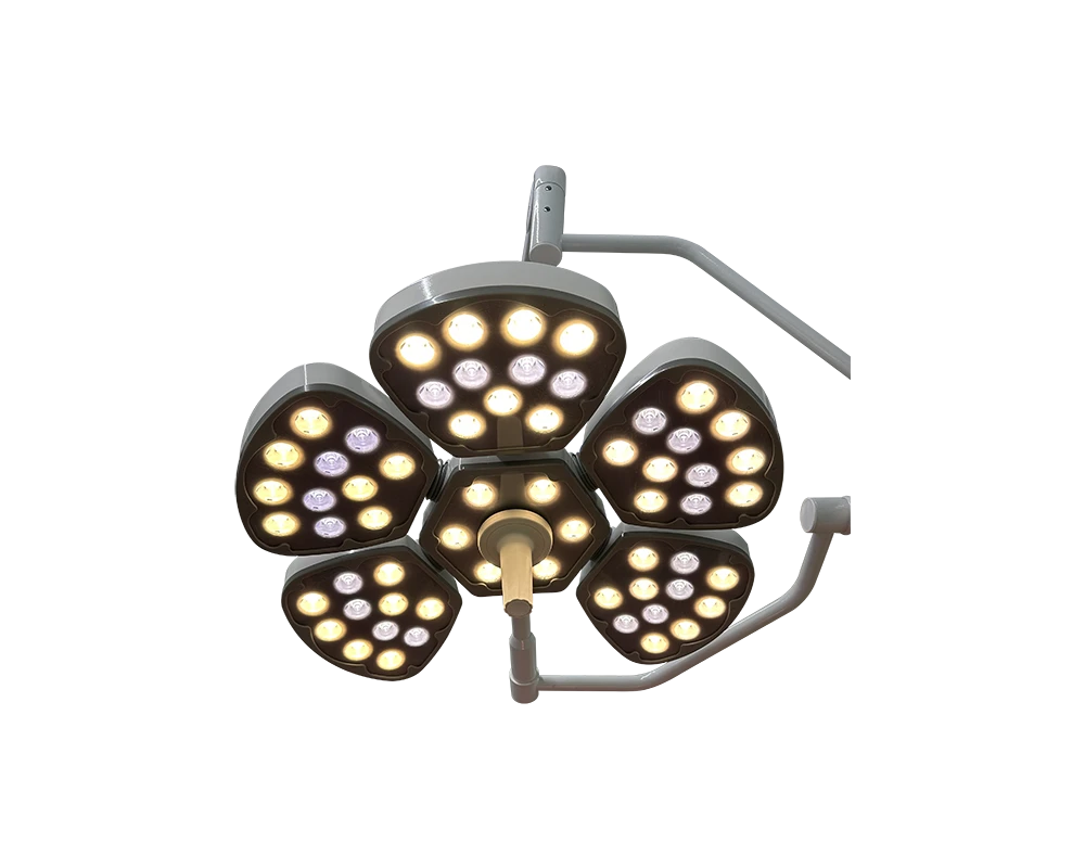 Single Petal-Style 700mm LED Surgical Light